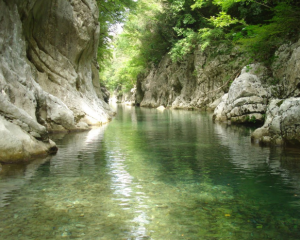 cilento 17