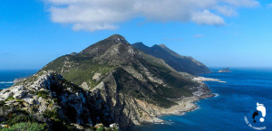 egadi