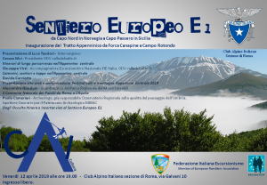 Commissione cultura_12_04_2019