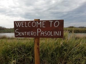 128421799_3338636496247265_7926533776444564170_o