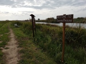 128598363_3338636752913906_2486484890686001752_o