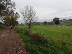 WhatsApp Image 2020-11-29 at 17.22.36