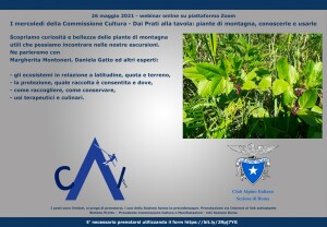 locandina-commcultura-20210526