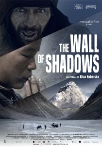 wall-of-shadows