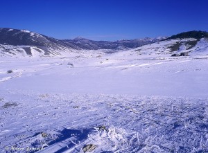 slide Mamiya 645 Pro