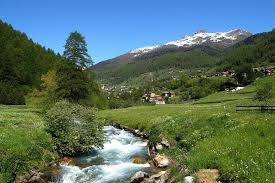 folgarida