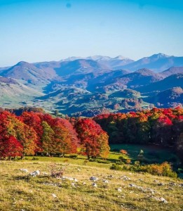 Marsia panorama