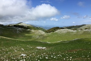 IMG_9473