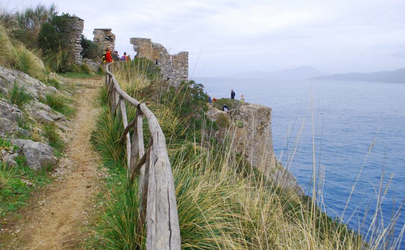 DSC_1296-79-800-600-80