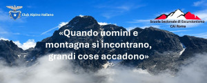 Immagine5